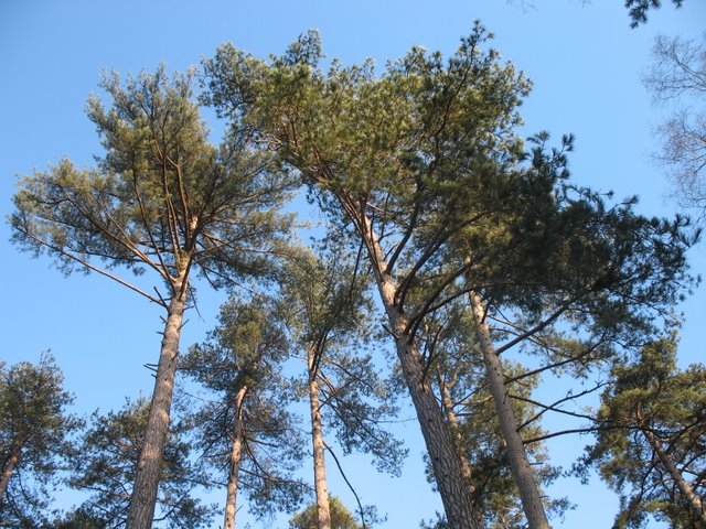 2007 02 Sortie traces 06